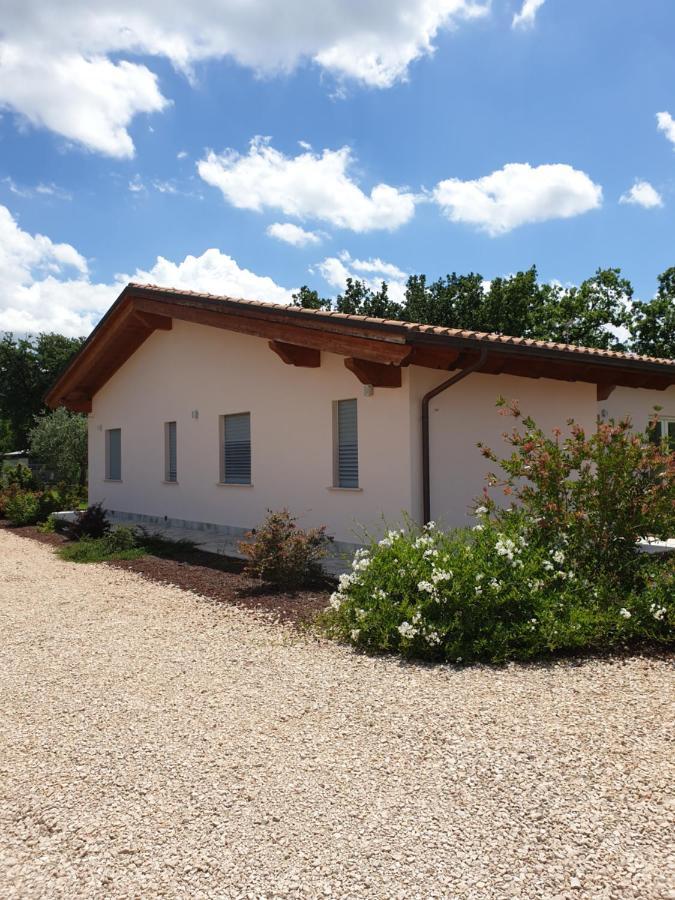 Il Rifugio Del Tempo Bed & Breakfast Roccasecca Dış mekan fotoğraf